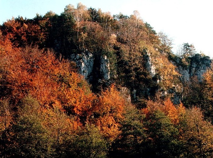 Barwy jesieni