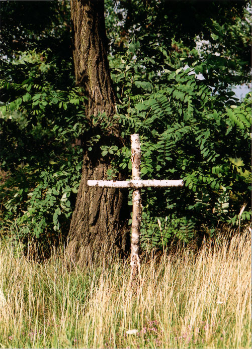 Około 180km/h )-: Nikon f 5