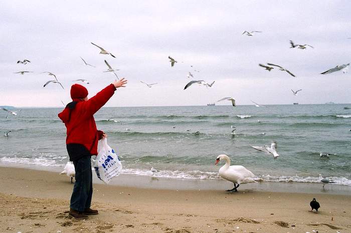 Na plaży