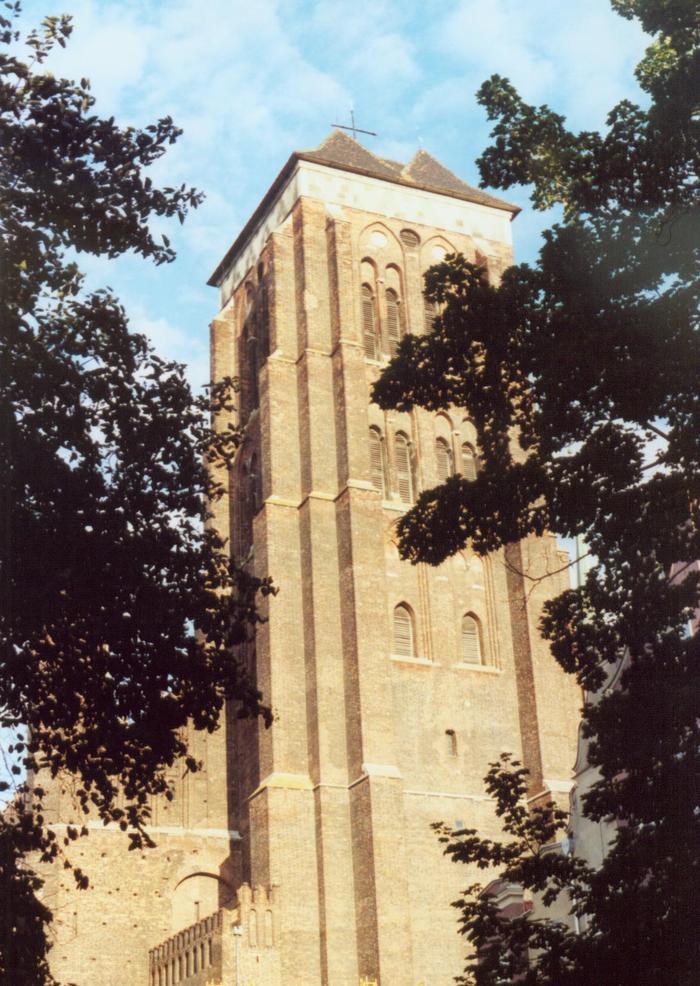Mariacki zza drzewa