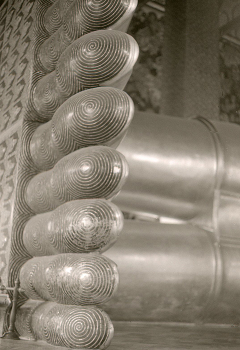 Złapać szczęście za nogi