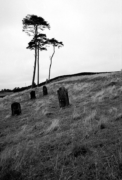 Graveyard