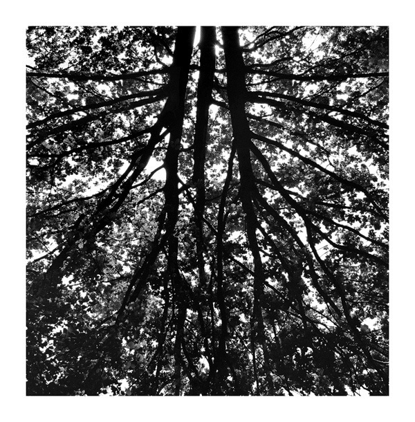 aerials
