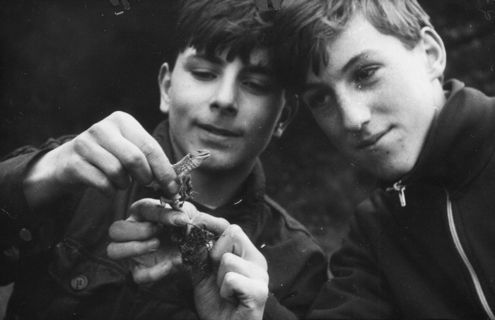 Łowcy smoków. Wakacje 1986.
