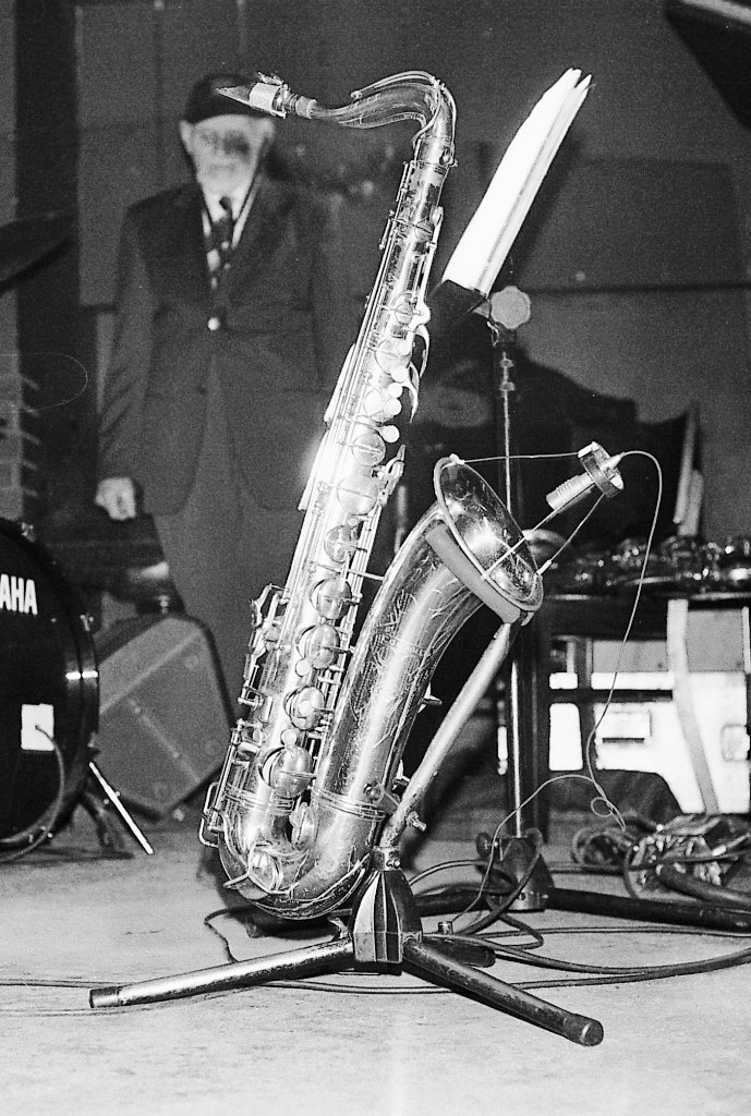 Ptaszyn i jego instrument