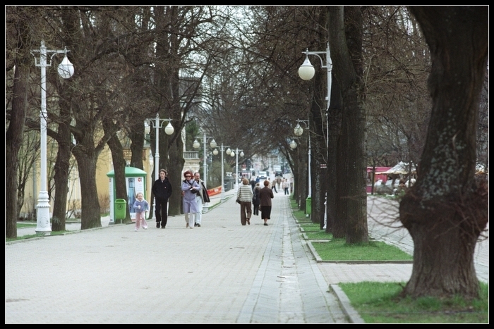 Krynica 2008