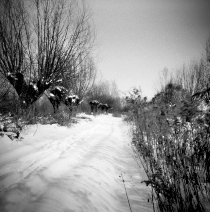 Wierzby z lewa,krzaczory z prawa