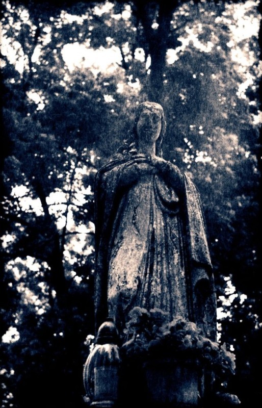 Z cmentarzyka