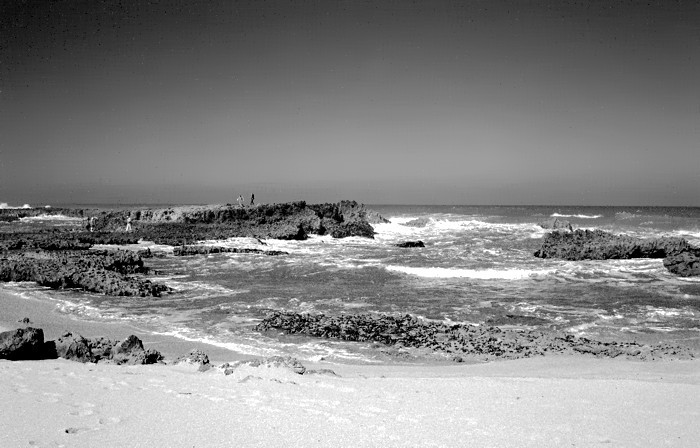 Ocean