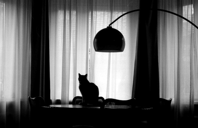 Gustaw