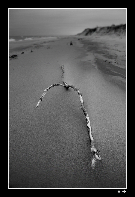 opowieści plażowe