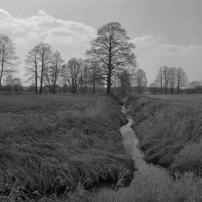 Wiosna nad Dobrzynką