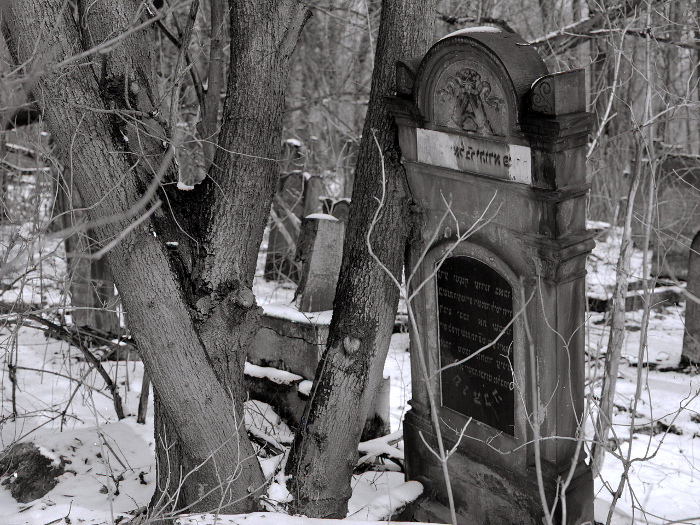 W poszukiwaniu Rozencwajgowej