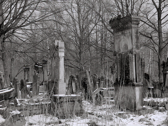 Ciągle szukamy Rozencwajgowej...