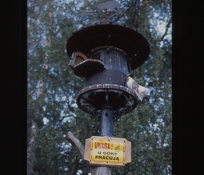 Birds at work.