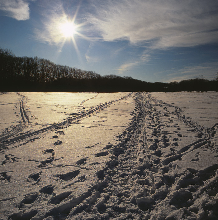 Zimowy landszafcik po sezonie