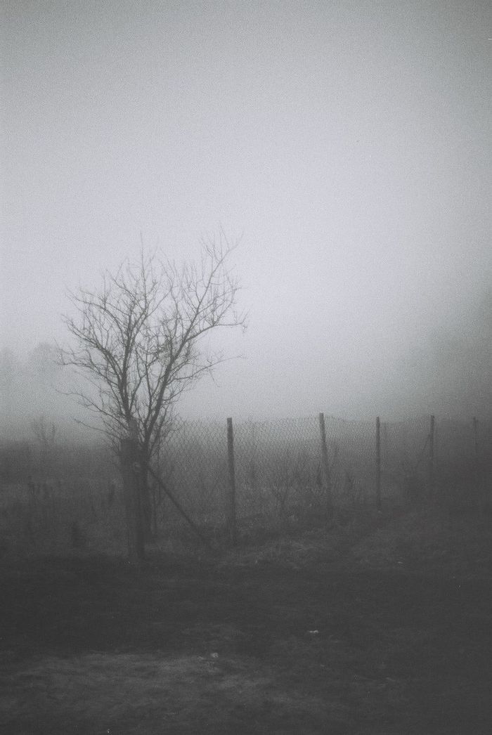 ... fog in the morning...