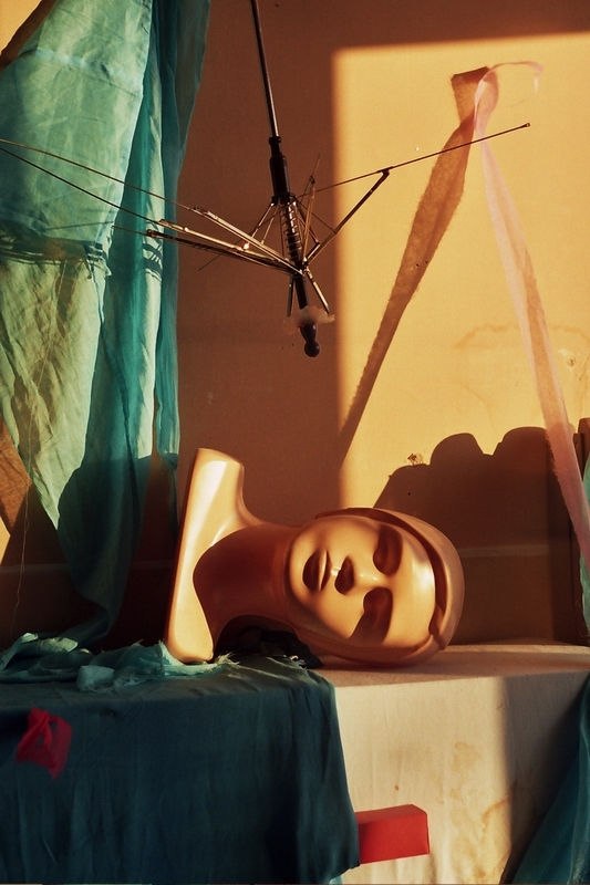 martwa natura