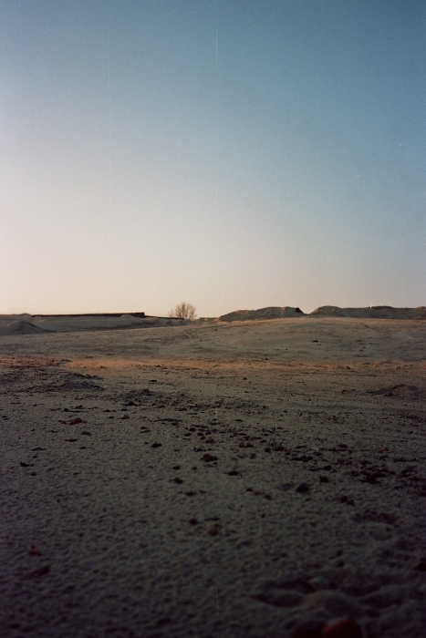 patrzfajnder