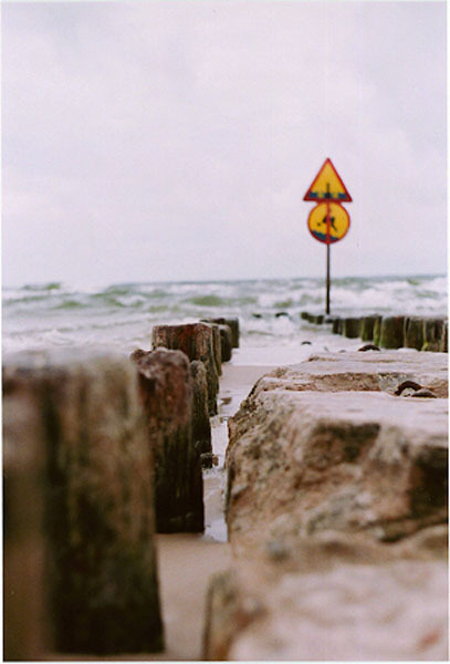 mare