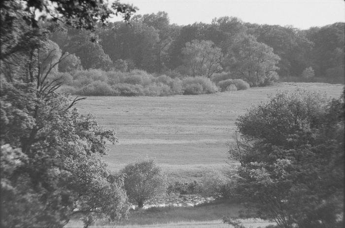 jeszcze raz Rogalin :-)