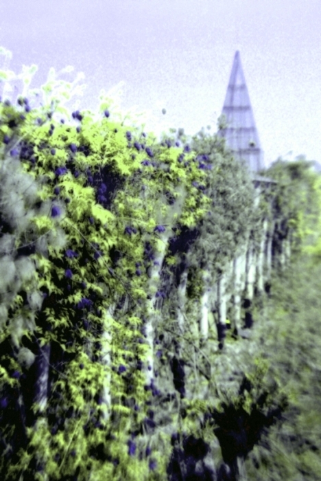 szklany dom