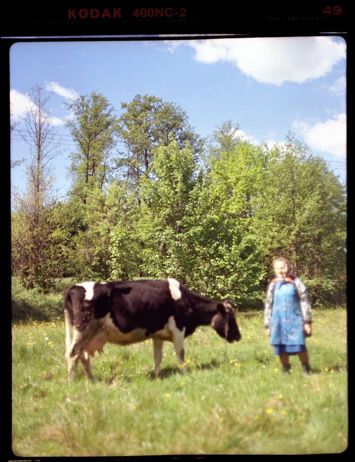 baba i krowa na miękko.