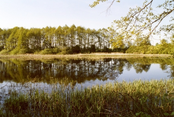 Pieronka na Kujawach II