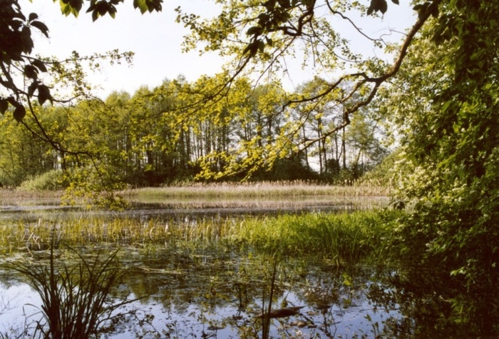 Pieronka na Kujawach I