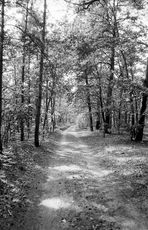 Kampinos