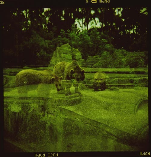 ZOO