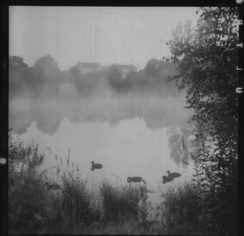 Jezioro... Kacze (?)