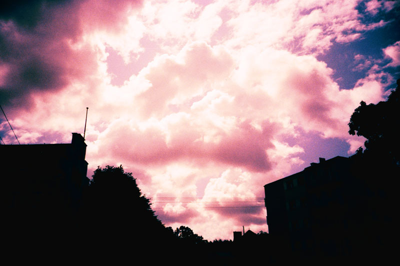 purpurowo