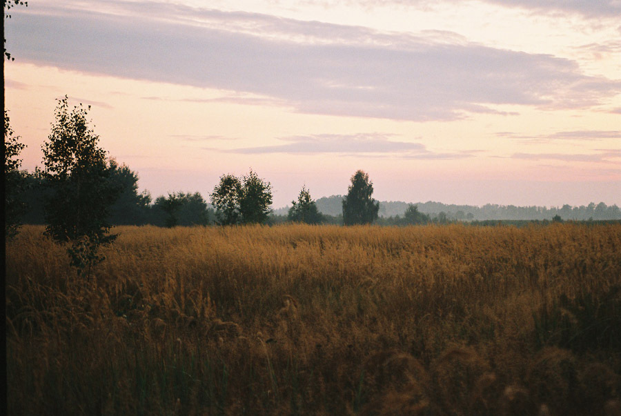 Polesie lubelskie