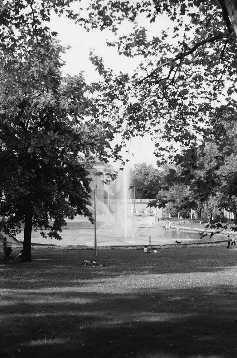 park.....moje pierwsze black&white foto