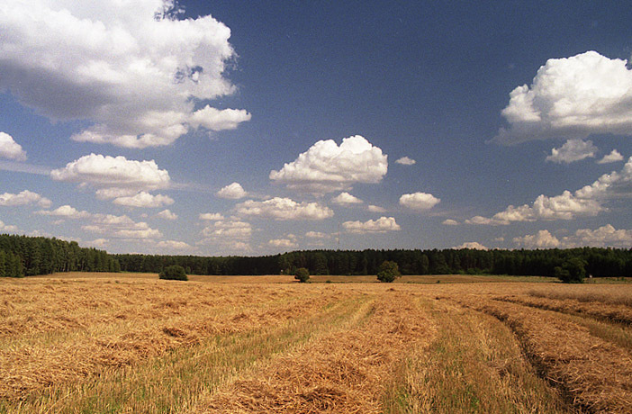wiejski krajobraz