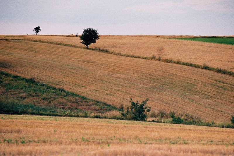 Krajobraz Świętokrzyski #3