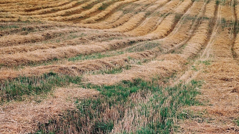 Krajobraz Świętokrzyski #5