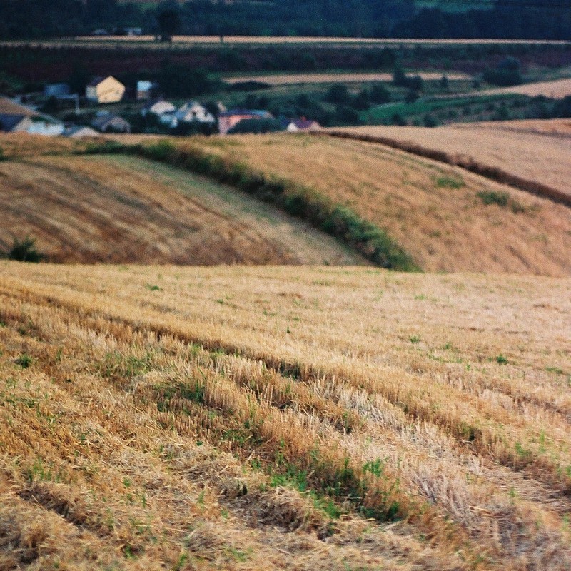 Krajobraz Świętokrzyski #6