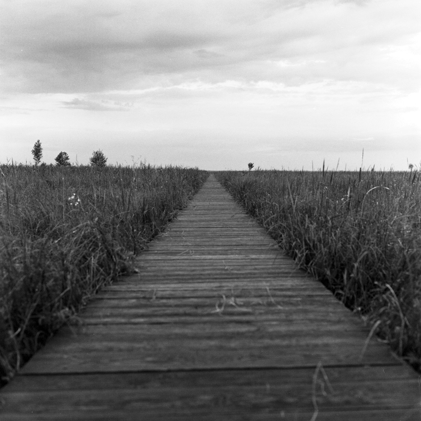 Bagno Ławki