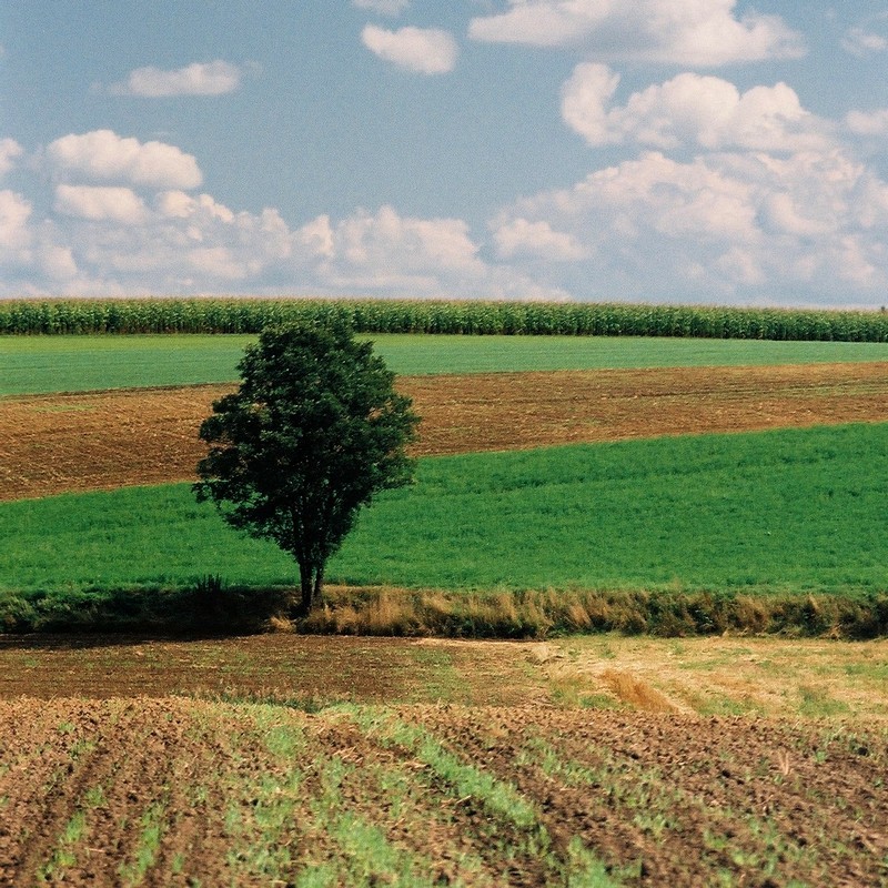 Jesienno-letni przekładaniec