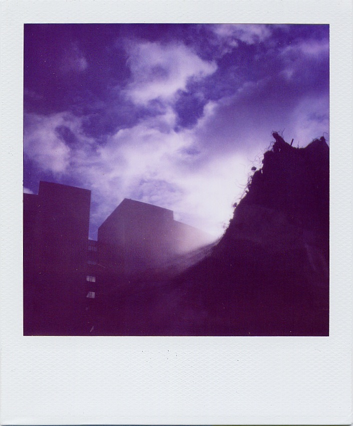 The Day After