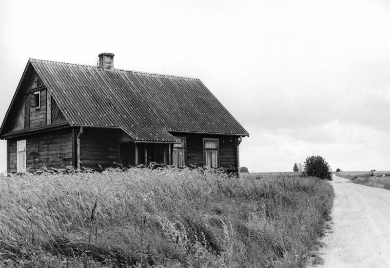 Podlasie. ""Buszujący w zbożu""