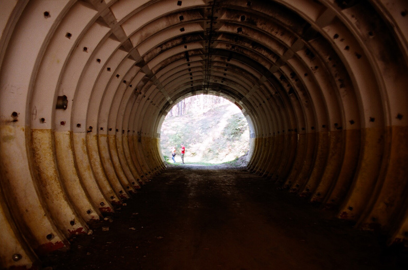 Wnętrze węża ? :>