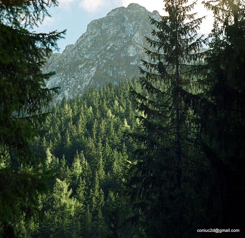 giewont 10/2009