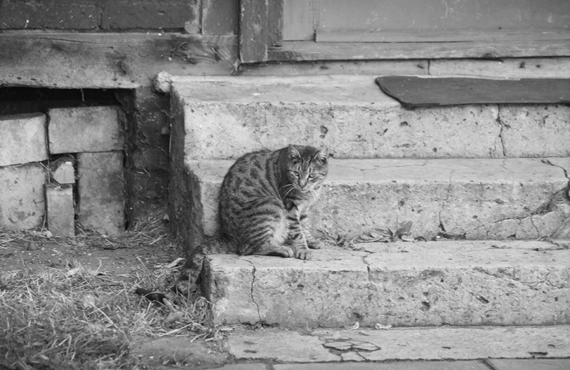 Mieszkaniec Dolnego Miasta