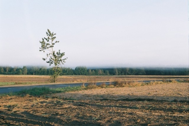 Tuż Nad Głową