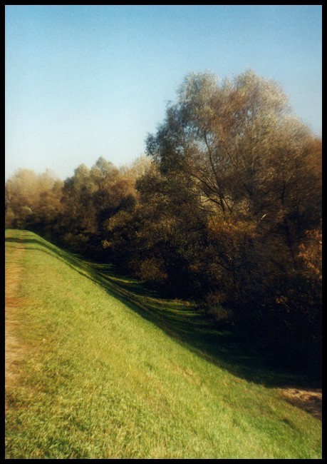 Nade Narwią (AD 1994)