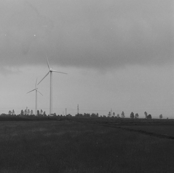 wiatraki