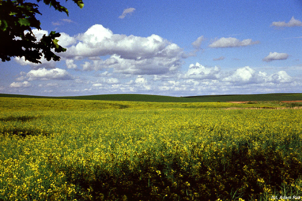 Pomorze